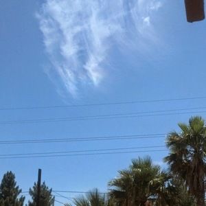 Meet your Posher, Hilda